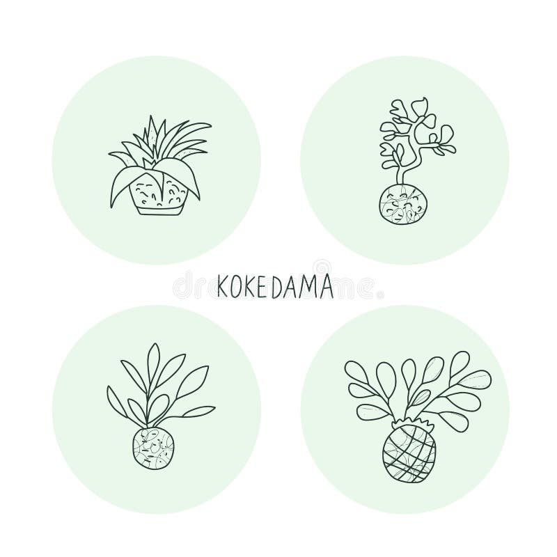 download kokedama download kokedama