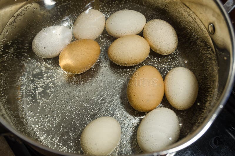 Kokende eieren in warm water in de pot royalty-vrije stock foto Kokende eieren in warm water in de pot royalty-vrije stock foto