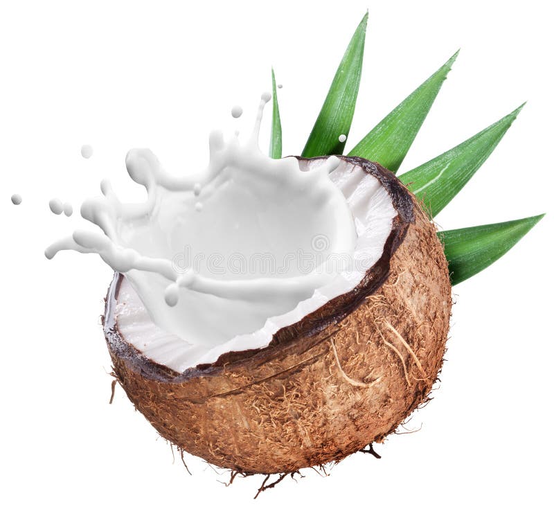 Kokosnoot met melk binnen plons