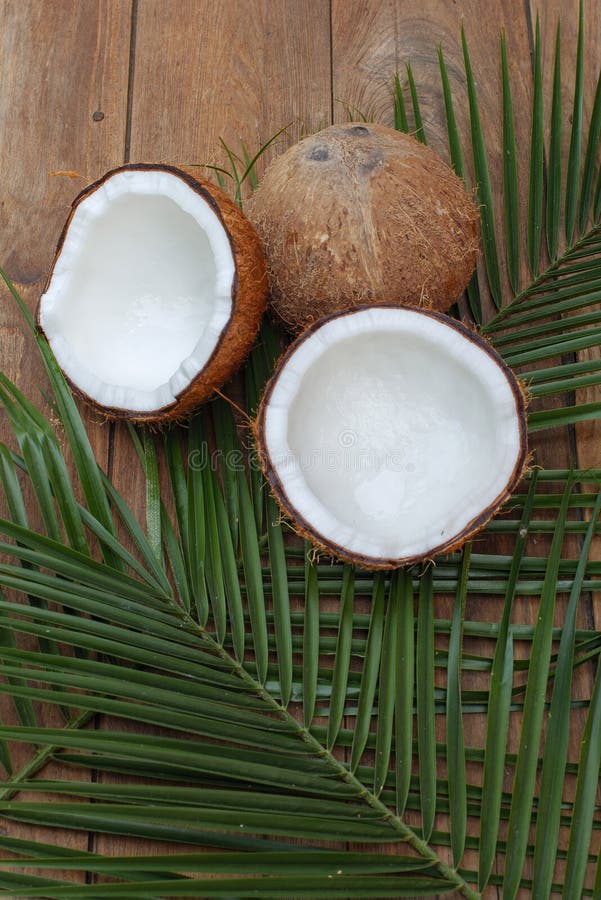 Kokosnöt som isoleras på träbakgrunden Coconu för tropisk frukt royaltyfria bilder Kokosnöt som isoleras på träbakgrunden Coconu för tropisk frukt royaltyfria bilder