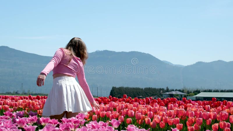 Kolekcja filmów i zdjęć, gdzie dziewczyna w białej spódniczce spaceruje po polu z tulips blue background sky