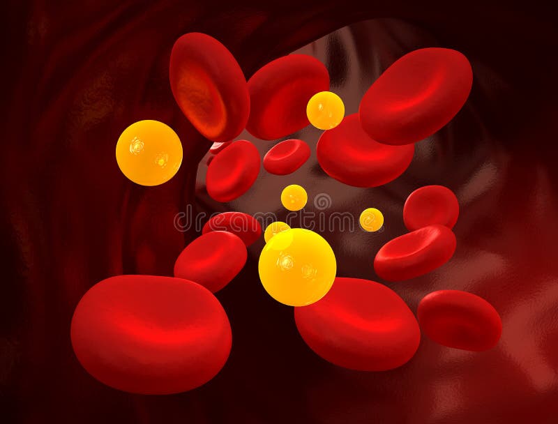 Cholesterol / Diabetes - Blood Stream - Human. Cholesterol / Diabetes - Blood Stream - Human