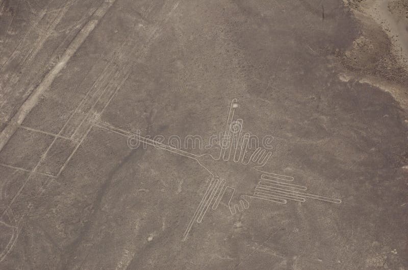 Kolibri - Luftaufnahme des Nazca zeichnet