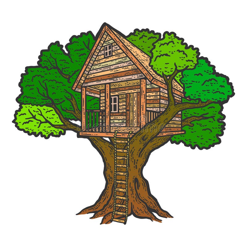 Kolor domku drewnianego. imitacja wykresów.