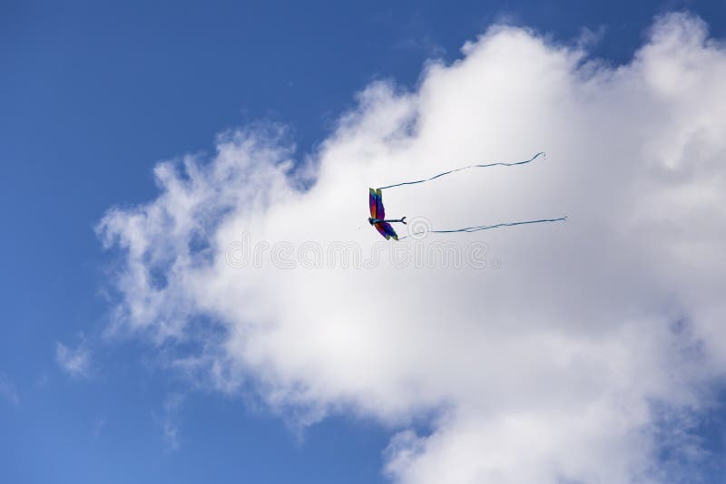 Kolorowej dragonfly kani latająca wysokość przeciw biel chmurze obraz stock Kolorowej dragonfly kani latająca wysokość przeciw biel chmurze obraz stock