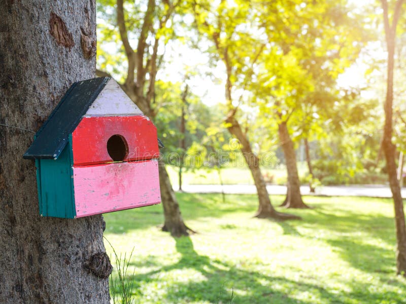 Kolorowi ptaków domy w parkowym obwieszeniu na drzewie ptaka dom umieszczali przy różnorodnymi punktami birdhouse las z dużo zdjęcia stock Kolorowi ptaków domy w parkowym obwieszeniu na drzewie ptaka dom umieszczali przy różnorodnymi punktami birdhouse las z dużo zdjęcia stock