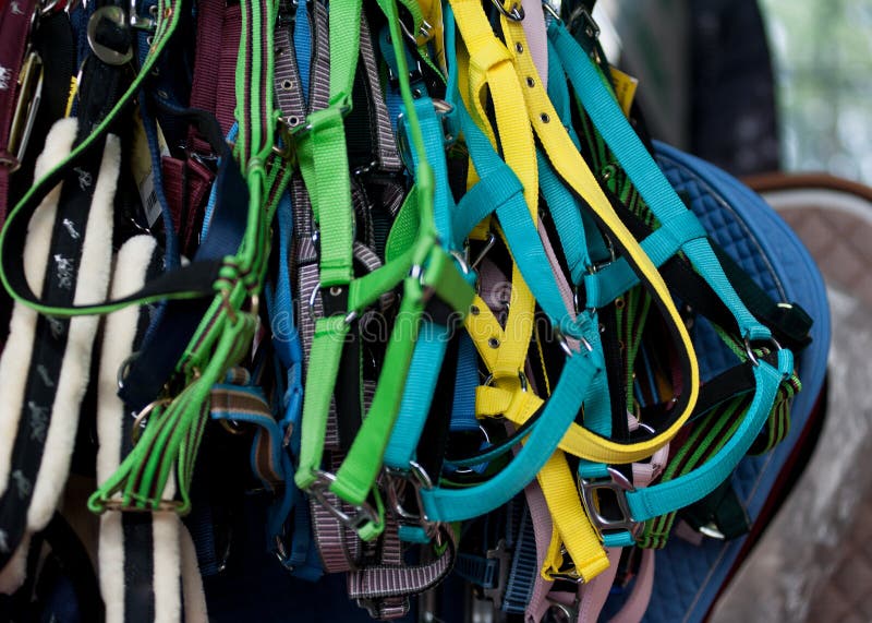 Colorful horse reins sold in a market shop. Colorful horse reins sold in a market shop