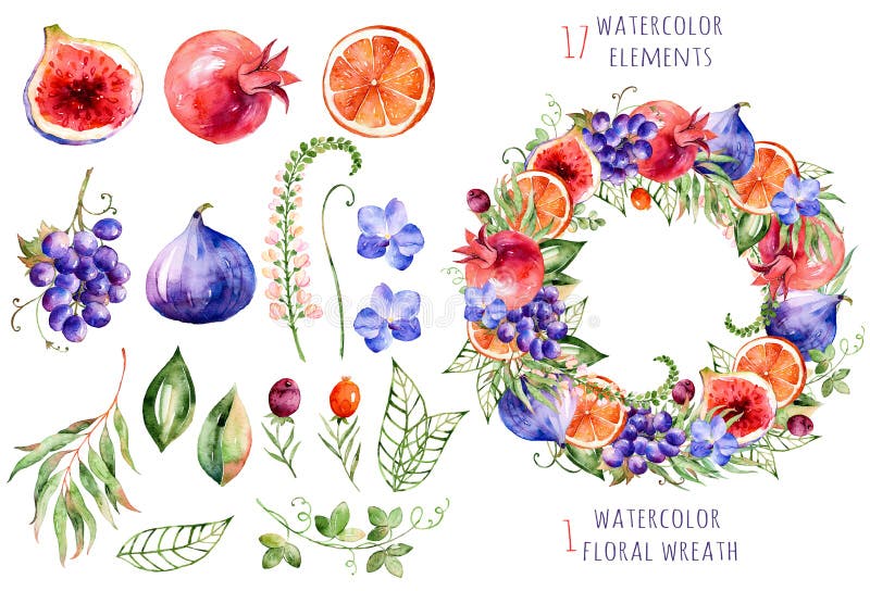 Kolorowy kwiecisty i owoc inkasowi z orchideami, kwiatami, liśćmi, granatowem, winogronem, pomarańcze, figami i jagodami royalty ilustracja