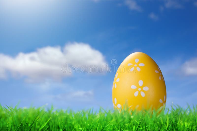 Color easter egg in the grass against blue sky. Color easter egg in the grass against blue sky