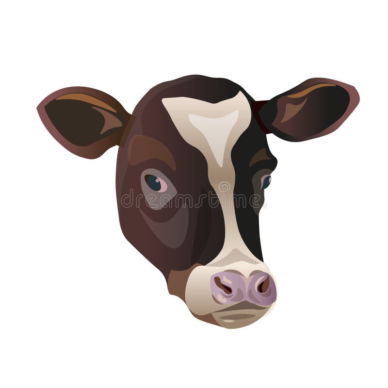 Koloru nakreślenie krowy twarz ilustracja wektor Koloru nakreślenie krowy twarz ilustracja wektor
