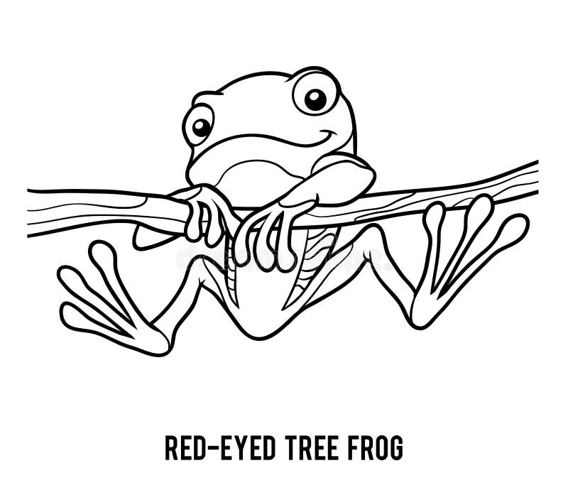 Coloring book for children, Red-eyed tree frog. Coloring book for children, Red-eyed tree frog