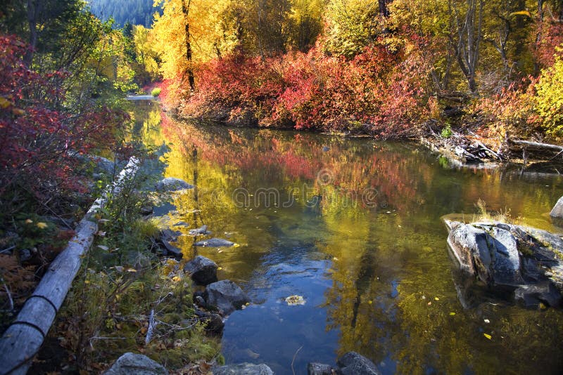 Kolorów spadek rzeka kołysa Washington wenatchee