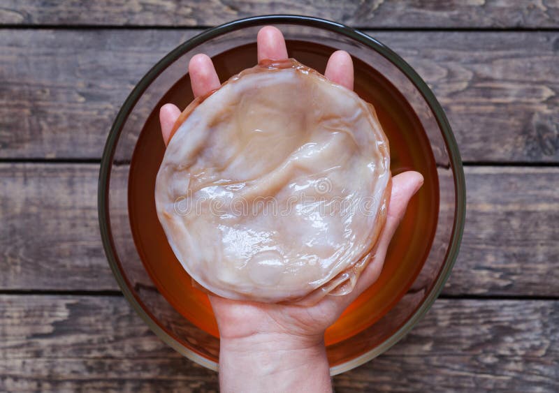 Kombucha fungus in unrecognizable man hand