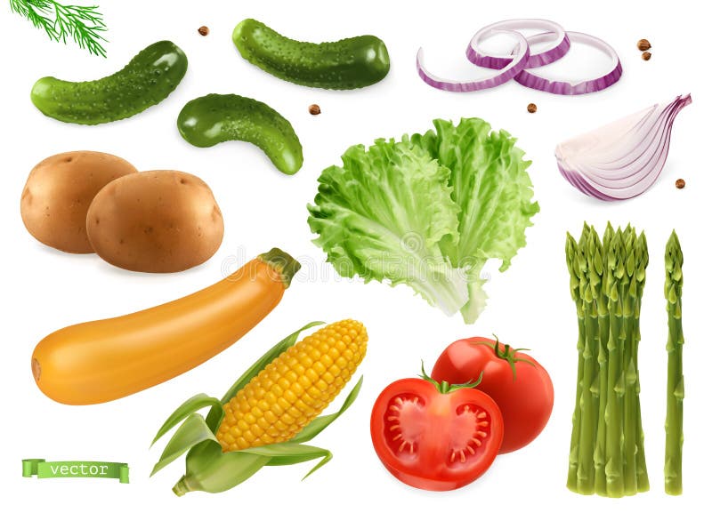 Komkommers, korianderzaad, uien, aardappelen en sla, zucchini, maïs, tomaat en asperges Groenten 3d vectorset