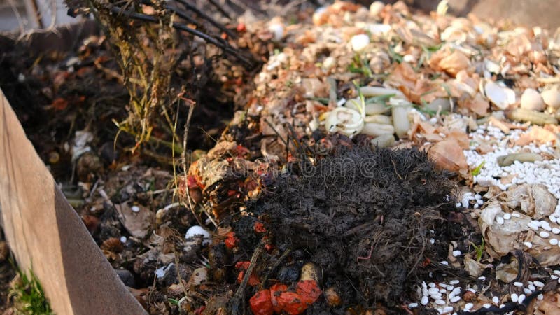 Kompost rozkładający nawozy dżdżownicami w ogrodzie. robaki są wykorzystywane do kompostowania i kompostowania. gospodarstwo ekolo