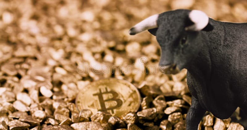 Koncepcja rynku kryptograficznego Bitcoin Bull