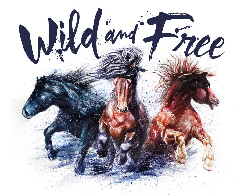 Konie dzikie i wolne, malowanie akwarelą, trio koni