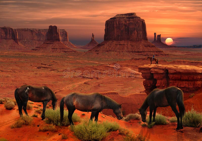 Konie przy John Ford ` s punktem Przegapiają w Pomnikowym Dolinnym Plemiennym parku, Arizona usa