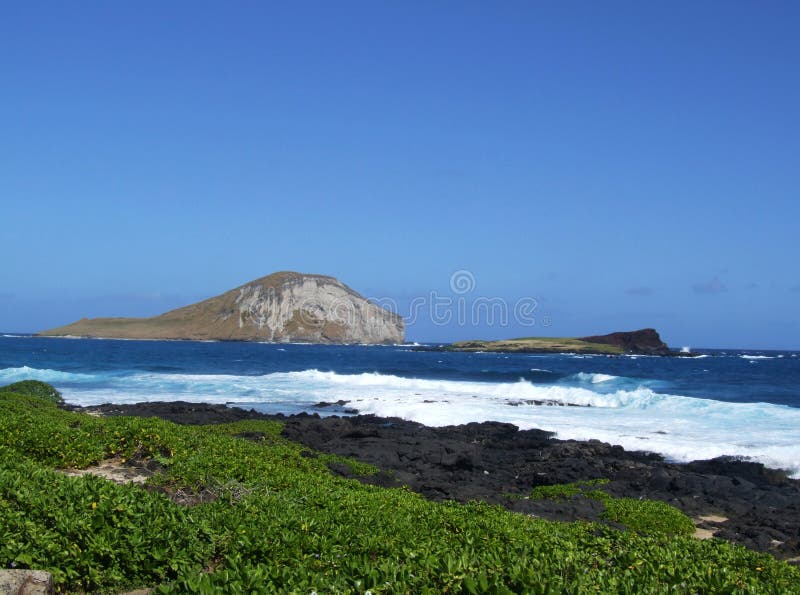 Konijneiland, Oahu, Hawaï stock foto Konijneiland, Oahu, Hawaï stock foto