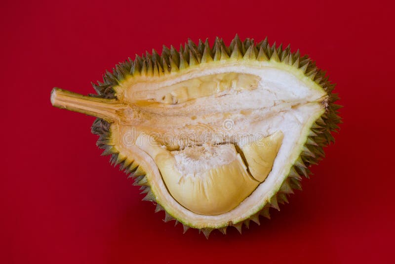 Koning van vruchten, durian op rode achtergrond Sluit omhoog royalty-vrije stock foto's Koning van vruchten, durian op rode achtergrond Sluit omhoog royalty-vrije stock foto's