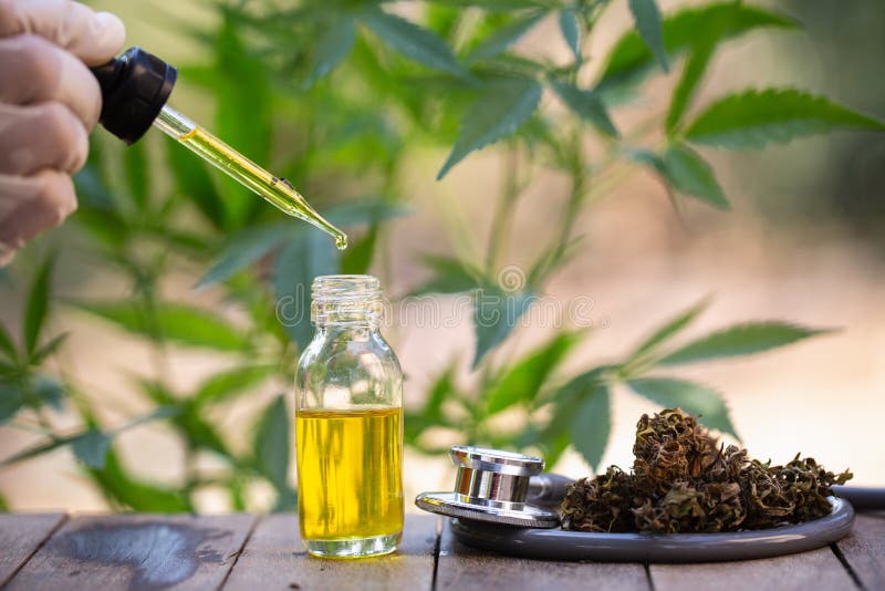 Konopiany olej, Medyczni marihuana produkty wliczając marihuana liścia, suszący pączek, cbd i hash, oliwimy nad czarnym drewniany obrazy royalty free Konopiany olej, Medyczni marihuana produkty wliczając marihuana liścia, suszący pączek, cbd i hash, oliwimy nad czarnym drewniany obrazy royalty free