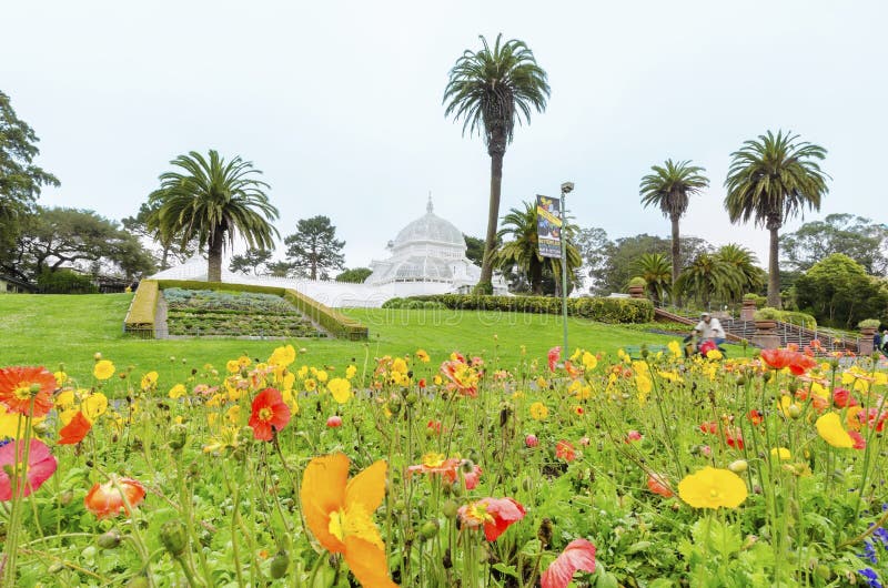 Konservatorium Der Blumen, San Francisco Stockbild Bild von blüte