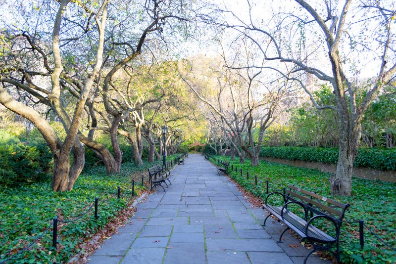 Konserwatorium ogród jest jedynym formalnym ogródem w central park obraz royalty free Konserwatorium ogród jest jedynym formalnym ogródem w central park obraz royalty free