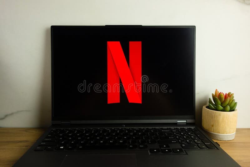 Netflix logo on computer monitor, Netflix-Logo auf Computermonitor