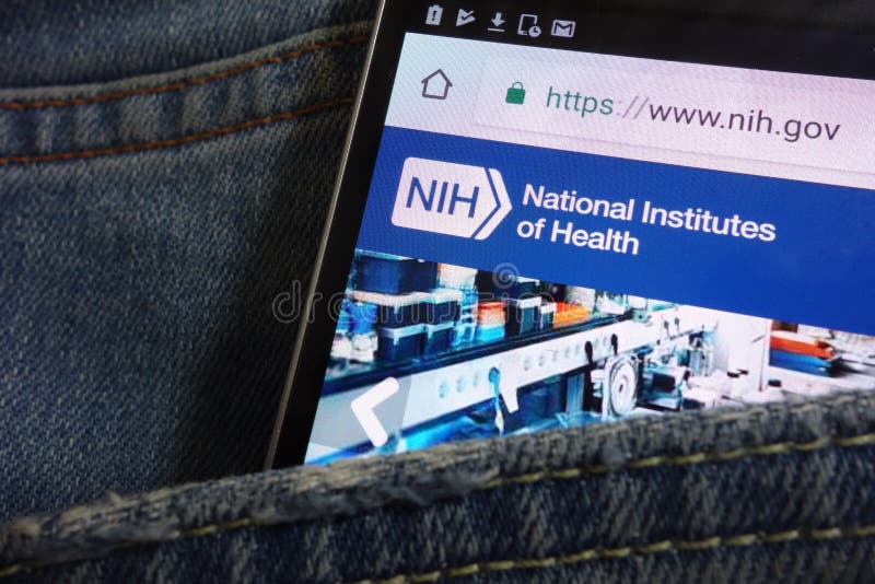 National Institutes of Health NIH website displayed on smartphone hidden in jeans pocket royalty free stock photos National Institutes of Health NIH website displayed on smartphone hidden in jeans pocket royalty free stock photos