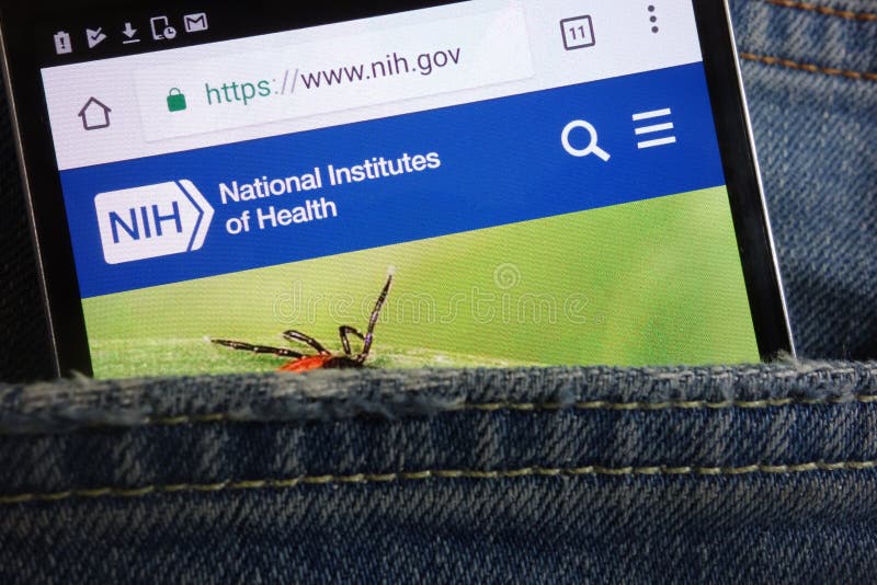 National Institutes of Health NIH website displayed on smartphone hidden in jeans pocket royalty free stock photography National Institutes of Health NIH website displayed on smartphone hidden in jeans pocket royalty free stock photography