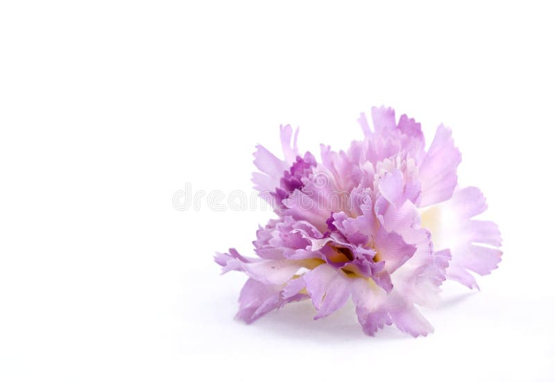 konstgjord blommapurple royaltyfria bilder konstgjord blommapurple royaltyfria bilder