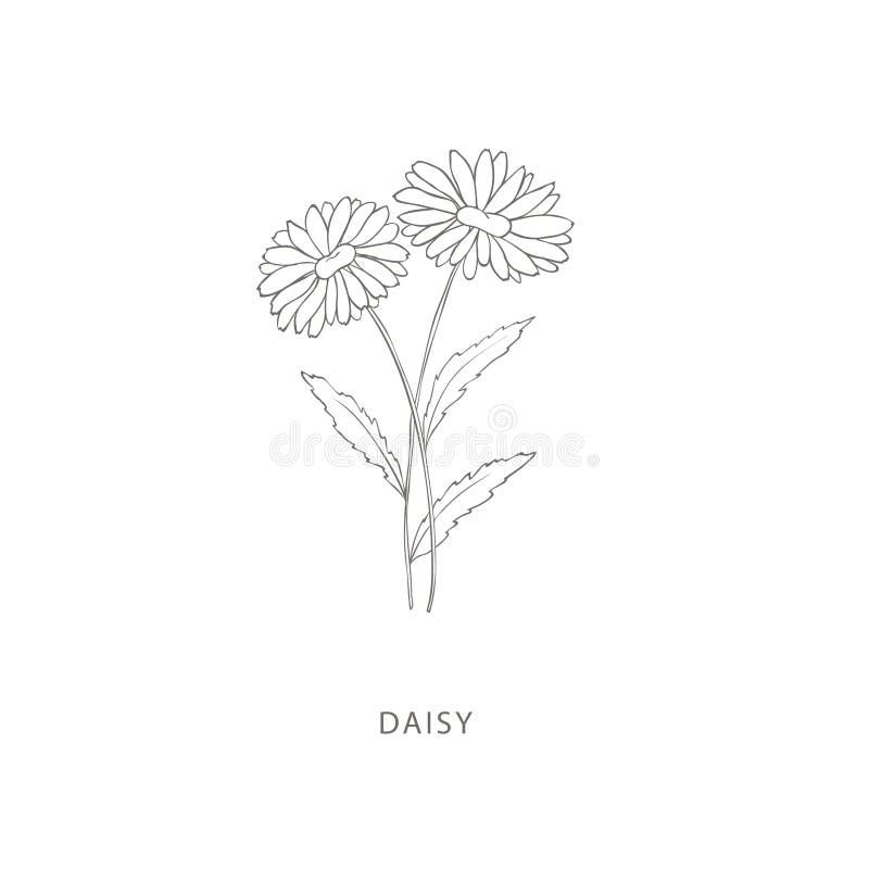 Konstruktionselement för handdragna blommor. stock illustrationer