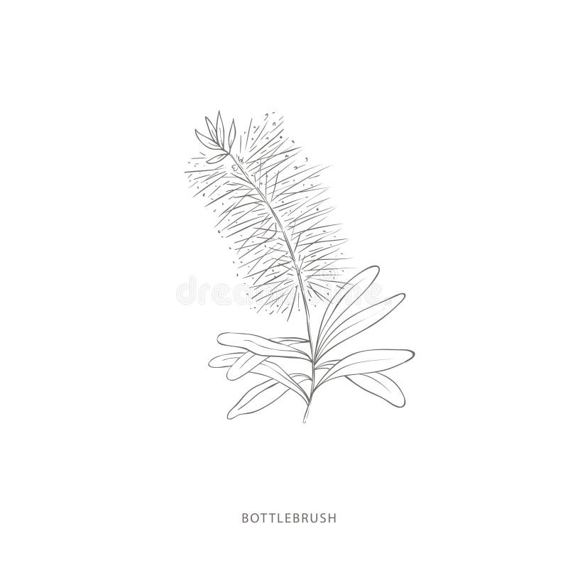 Konstruktionselement för handdragna bottenborstbrunnar. stock illustrationer