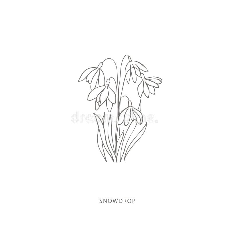 Konstruktionselement för manuellt dragna snöflussblommor. stock illustrationer
