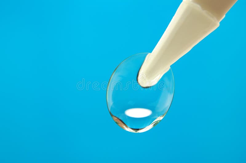 Contact lens in tweezers on blue background. Contact lens in tweezers on blue background