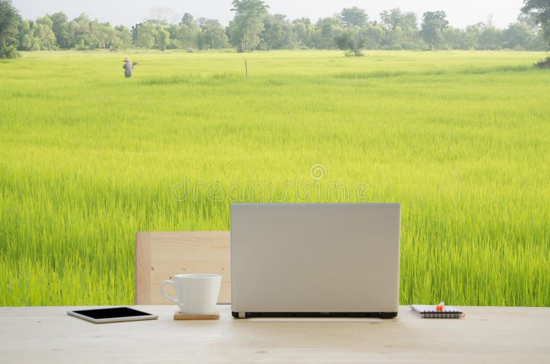 Kontorsskrivbordet med den notepad-, anteckningsbok-, blyertspenna- och kaffekoppen över ris brukar bakgrund royaltyfri bild Kontorsskrivbordet med den notepad-, anteckningsbok-, blyertspenna- och kaffekoppen över ris brukar bakgrund royaltyfri bild