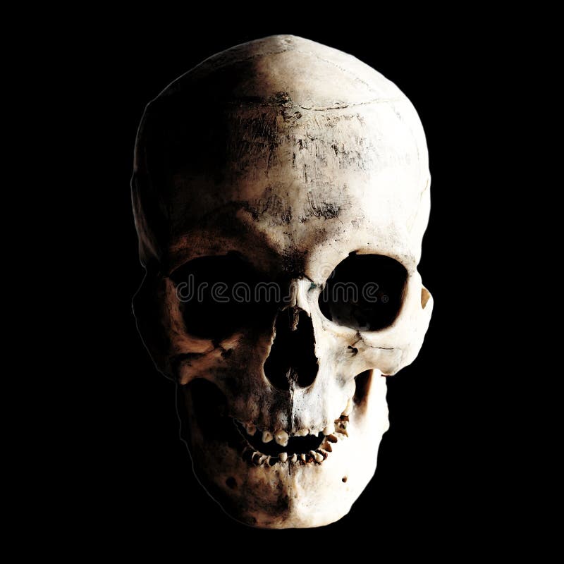 Kontrastbild eines wirklichen menschlichen Schädels auf einem dunklen Hintergrund Lokalisiert auf Schwarzem lizenzfreie stockbilder Kontrastbild eines wirklichen menschlichen Schädels auf einem dunklen Hintergrund Lokalisiert auf Schwarzem lizenzfreie stockbilder