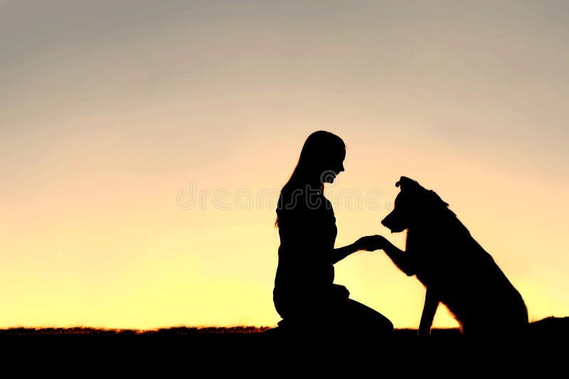 Kontur av den unga kvinnan och älsklings- hunden som skakar händer på solnedgången