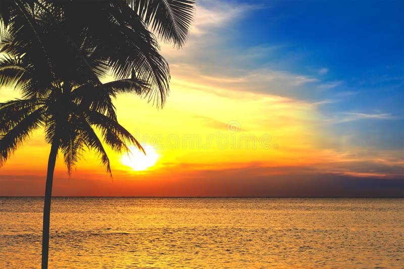 Konturer av palmträd och det härliga havet under solnedgång i Thailand, Phuket arkivbilder Konturer av palmträd och det härliga havet under solnedgång i Thailand, Phuket arkivbilder