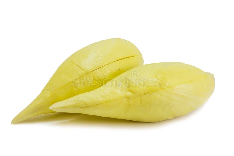 Konung av frukter, durian royaltyfria bilder Konung av frukter, durian royaltyfria bilder