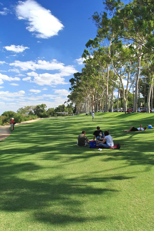 Konung Park i Perth, västra Australien arkivfoton Konung Park i Perth, västra Australien arkivfoton