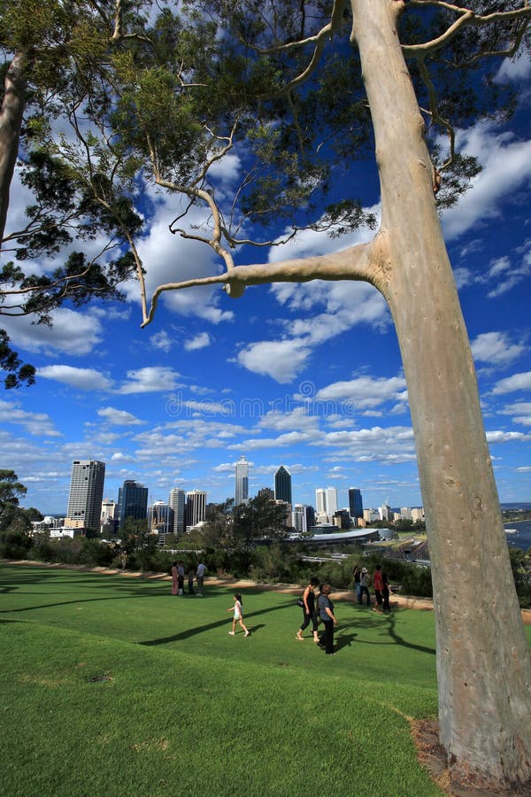 Konung Park i Perth, västra Australien royaltyfria bilder Konung Park i Perth, västra Australien royaltyfria bilder