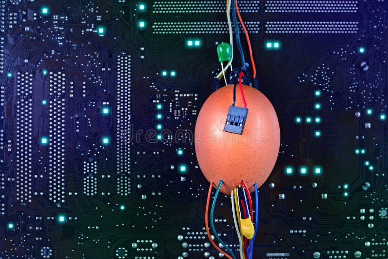 Konzept der Cybertechnologie Ei mit Drähten auf Mikrochip-Hintergrund Ein neues Leben mit der Idee der Cybernetik-Technologien stockfotografie Konzept der Cybertechnologie Ei mit Drähten auf Mikrochip-Hintergrund Ein neues Leben mit der Idee der Cybernetik-Technologien stockfotografie