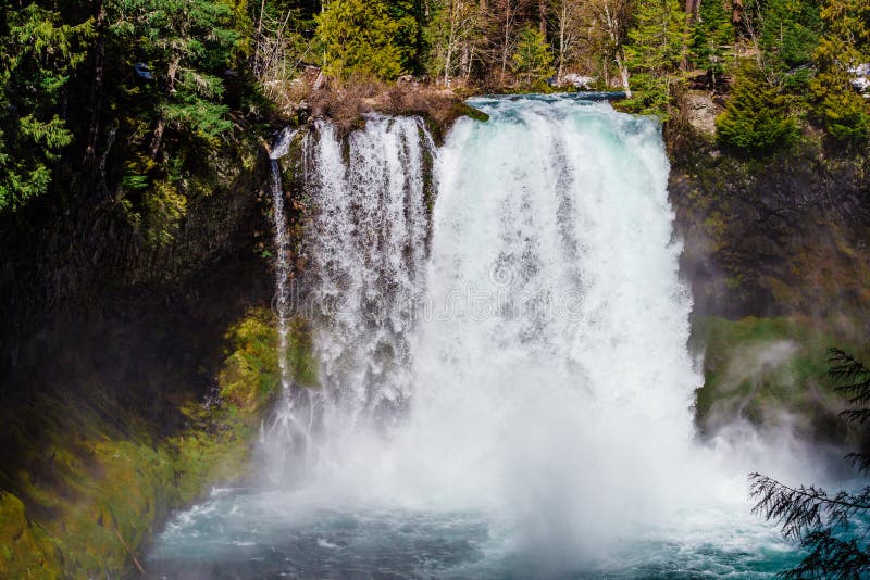 Koosah Falls on the McKenzie River in Oregon