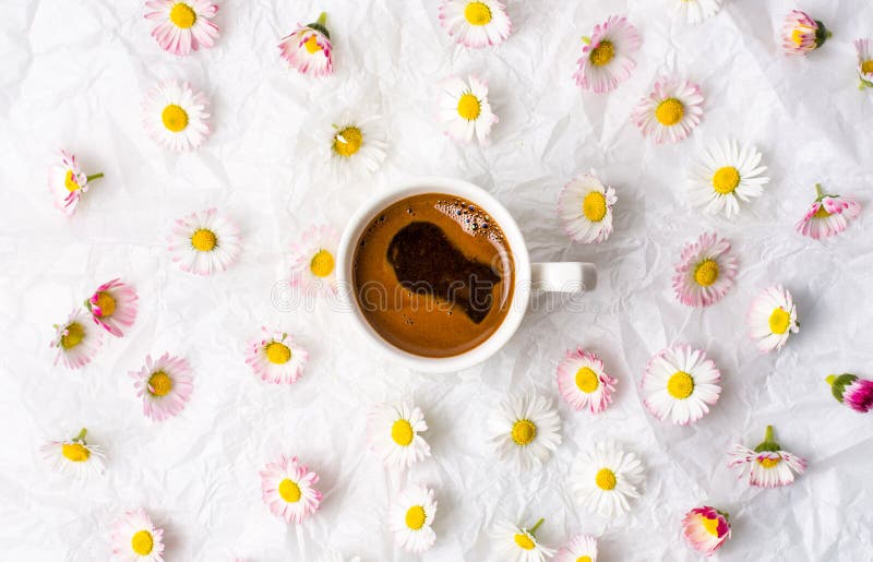 Kop koffie en madeliefjebloemen royalty-vrije stock afbeelding Kop koffie en madeliefjebloemen royalty-vrije stock afbeelding