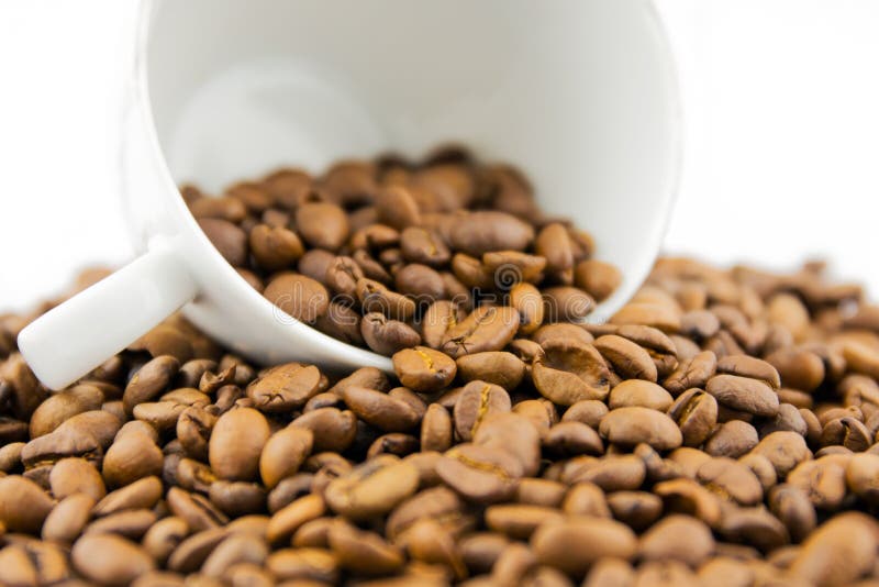 Kop met koffiebonen die wordt gevuld stock foto Kop met koffiebonen die wordt gevuld stock foto