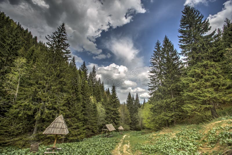 Kopaonik mountain in Serbia