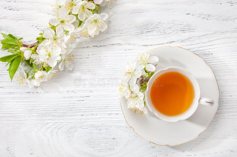 Kopp av grönt te och filialer av att blomstra körsbäret på gammal träbakgrund royaltyfri foto