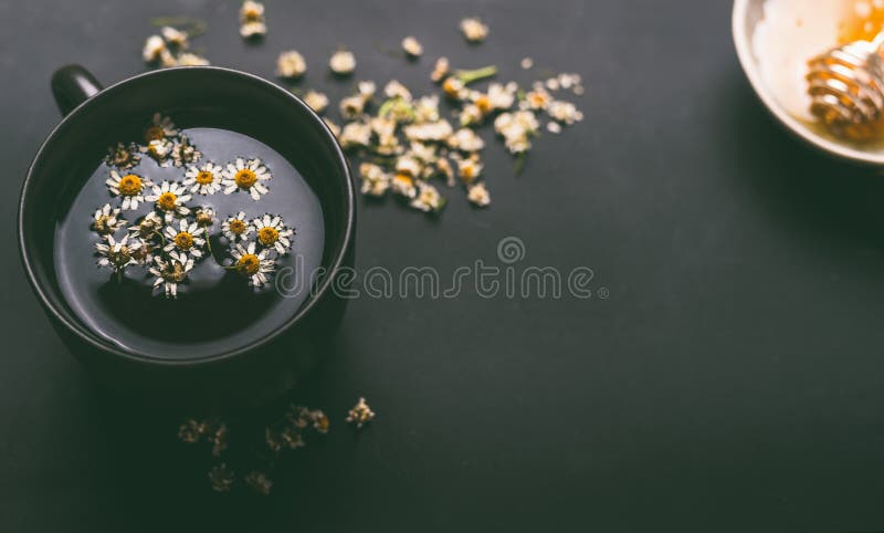 Kopp av växt- kamomillte med torkad kamomillblommor och honung på mörk bakgrund, bästa sikt Bota för att behandla en lång räcka a royaltyfri bild