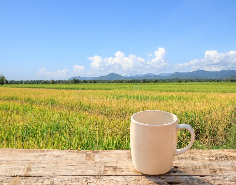 Kopp för vitt kaffe på trätabellen med grön rårisbackgroun. Kopp för vitt kaffe på trätabellen med bakgrund för gröna råriers och för blå himmel